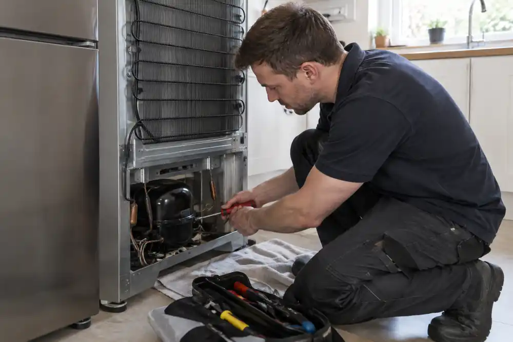 Careful preparation and finishing during fridge and freezer repairs