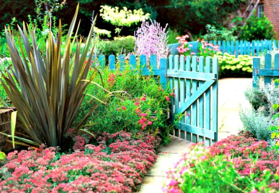 Picket Fence And Garden