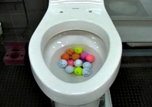 Toilet Clogged With Golf Balls Clogged Toilet