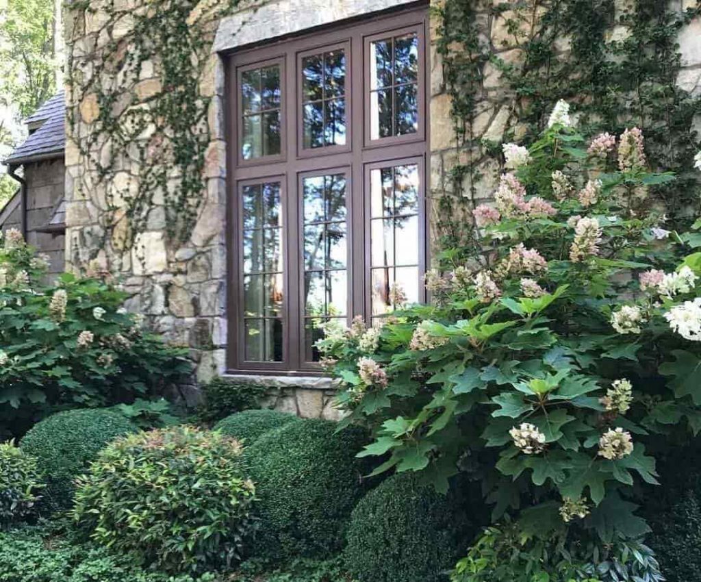 External Trees and Shrubs External Trees and Bushes