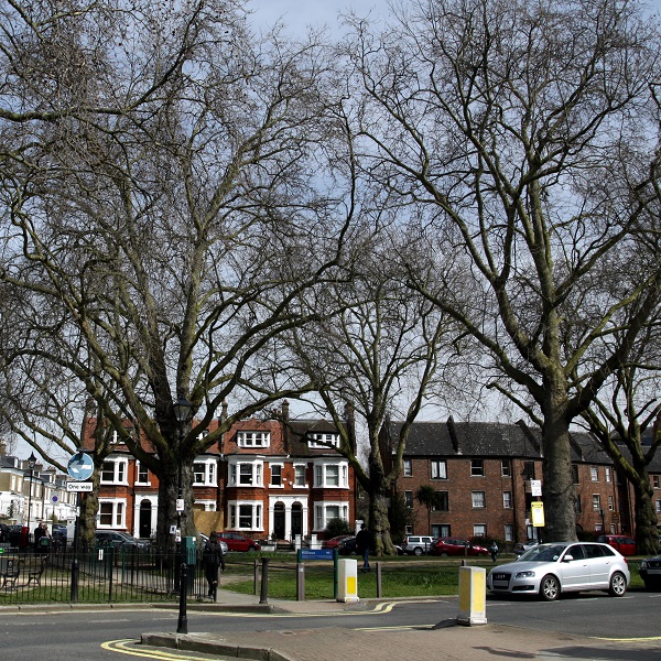 Brook Green